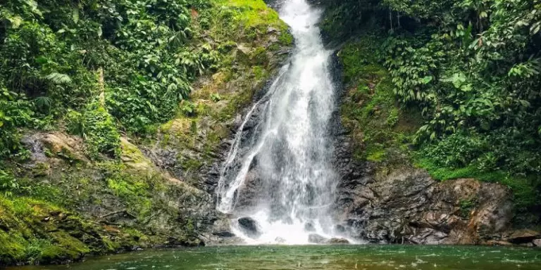 pgina-8-1200x600-800x400